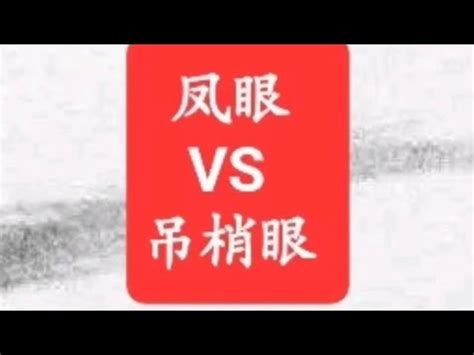 鳳眼男面相|丹鳳眼的男生面相命運解析